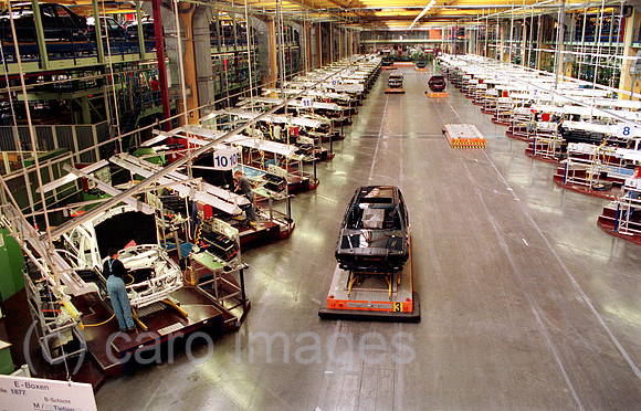 00A45126ACARO.JPG