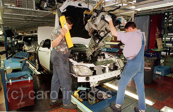 00A45221ACARO.JPG
