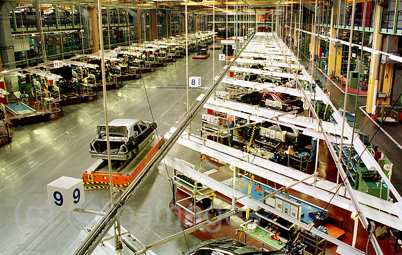 00A45132ACARO.JPG