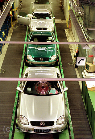00A45106ACARO.JPG