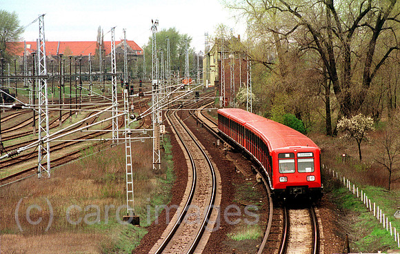 00B102804ACARO.JPG