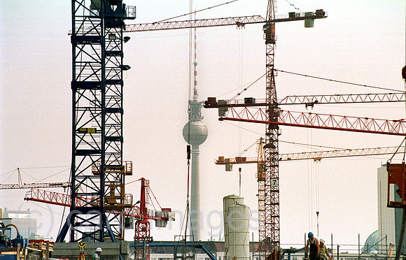 00B105313ACARO.JPG