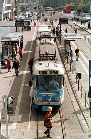 00B103904ACARO.JPG