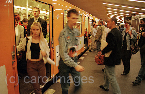 00B106417ACARO.JPG