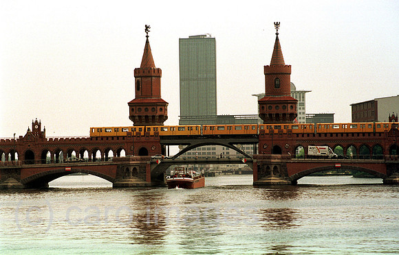 00B105431ACARO.JPG