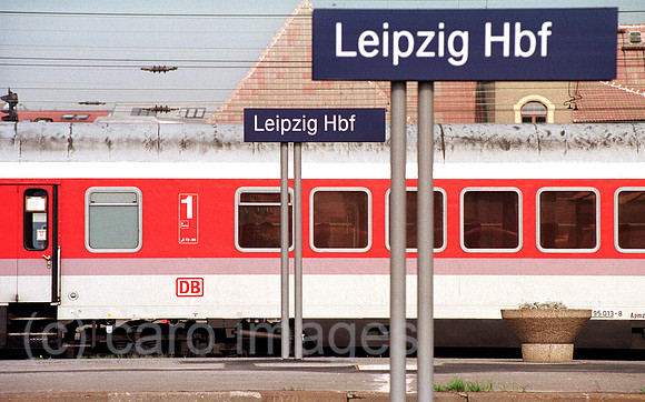 00B103612ACARO.JPG