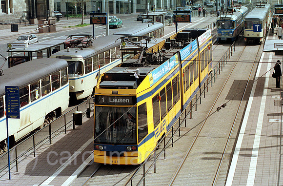 00B103907ACARO.JPG