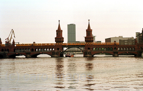 00B105434ACARO.JPG