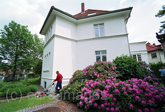 00A218513ACARO.JPG