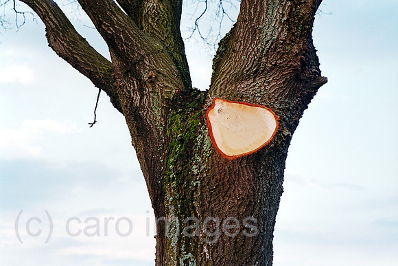 00A222116CARO.JPG