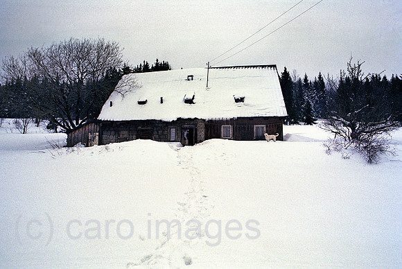 00A216037CARO.JPG