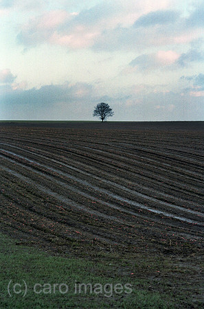 00A215323CARO.JPG