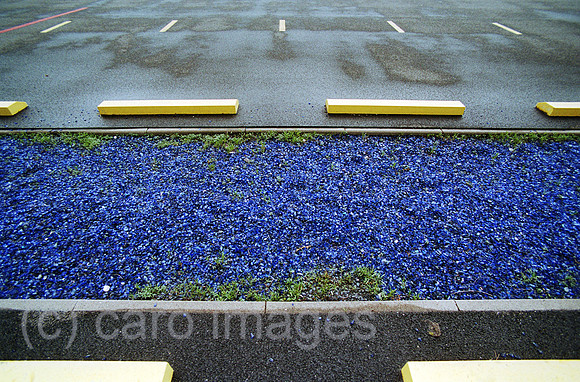 00A218806CARO.JPG