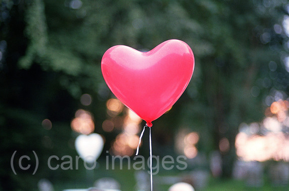 00A217429CARO.JPG