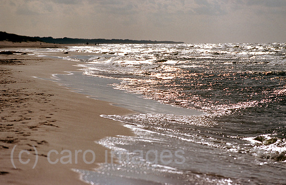 00A228125CARO.JPG