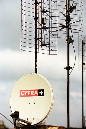 00A224324CARO.JPG