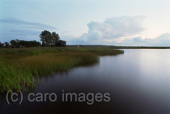 00A227136CARO.JPG