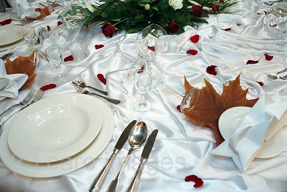 00A217913CARO.JPG