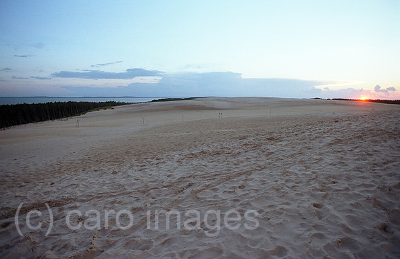 00A228703ACARO.JPG