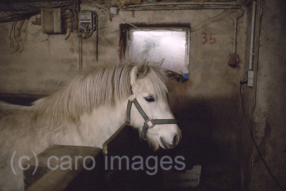 00A214523CARO.JPG