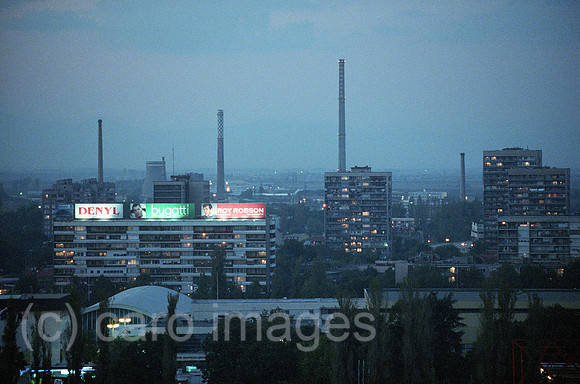 00A212125ACARO.JPG