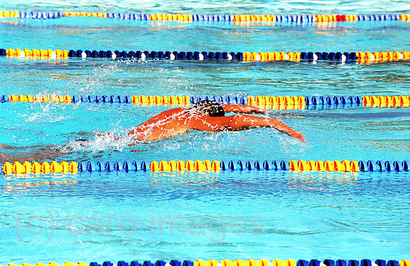 00A220216CARO.JPG