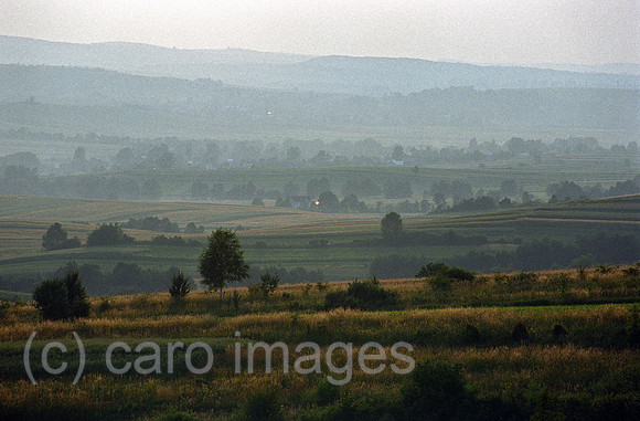 00A1613111CARO.JPG