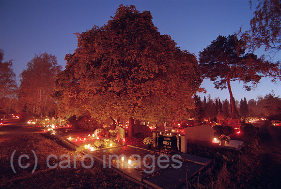 00A200614CARO.JPG