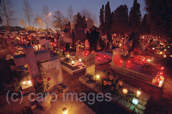 00A200608CARO.JPG