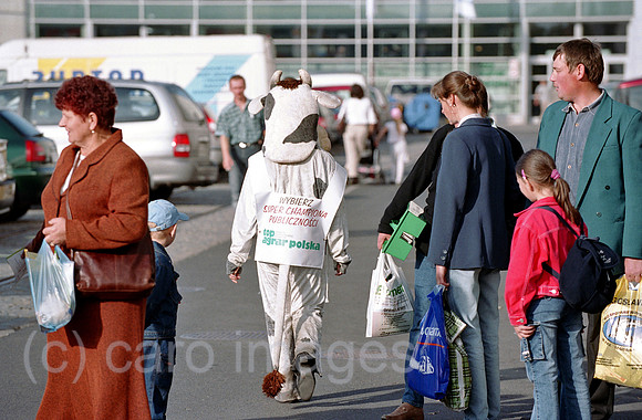 00A199532CARO.JPG
