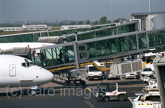 00A200928ACARO.JPG