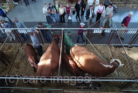 00A199307CARO.JPG
