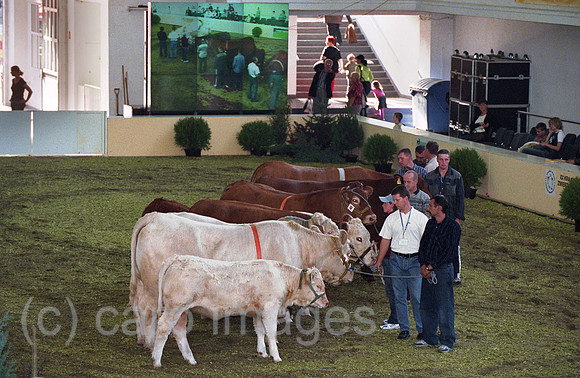 00A199326CARO.JPG