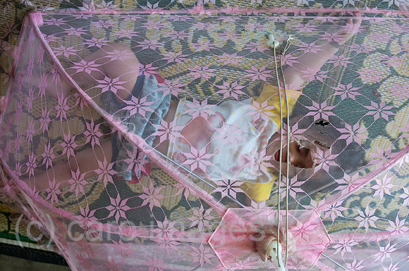 0AF100513D007CAROE.JPG