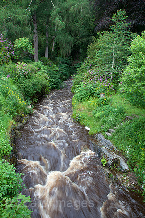 00X120629D012CAROE.JPG