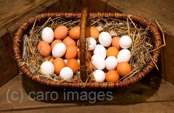 00X120412D034CAROE.JPG