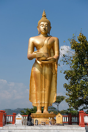 0AF100123D022CAROE.JPG