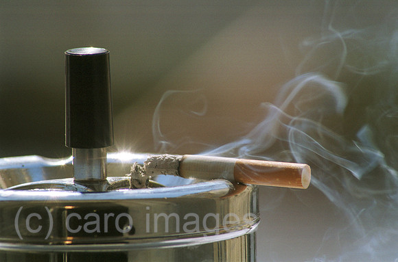 00A99735ACARO.JPG