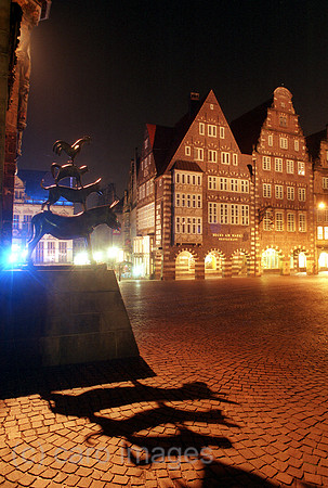 00A98101ACARO.JPG
