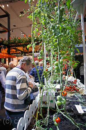 0SP090121D364CAROE.JPG