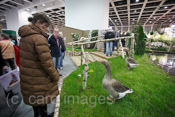0SP090121D017CAROE.JPG