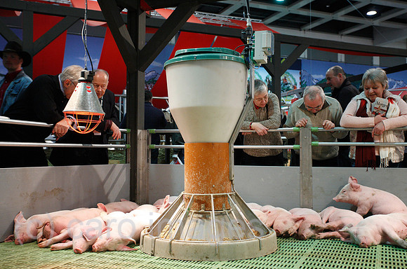 0SP090121D089CAROE.JPG
