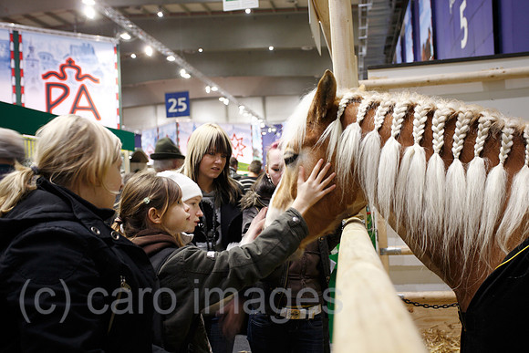 0SP090121D121CAROE.JPG