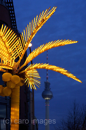 00P061203D012CARO.JPG