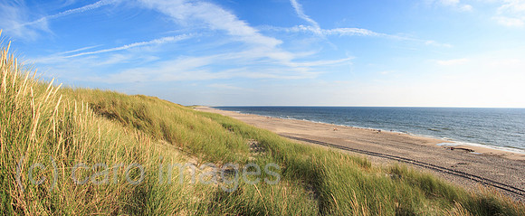 00P060801D006CARO.JPG