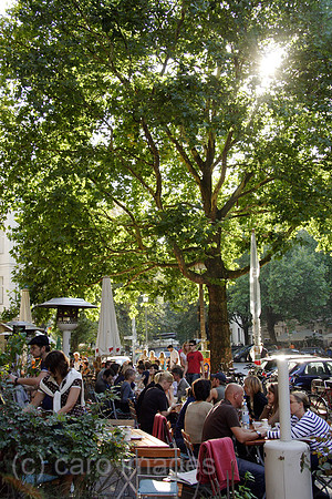 00P060924D008CARO.JPG