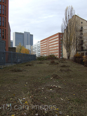 00P061117D007CARO.JPG