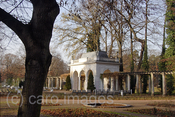 00P061130D009CARO.JPG