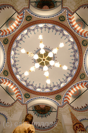 00P061003D014CARO.JPG