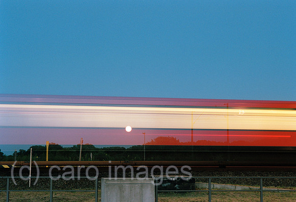 00R066519CARO.JPG